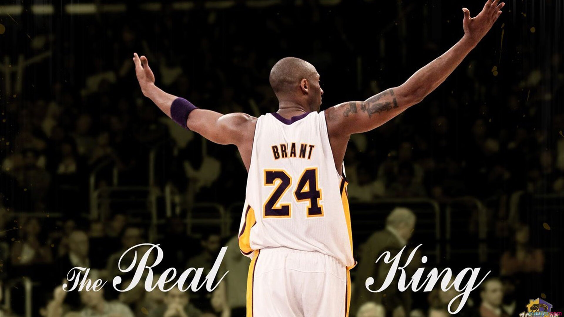 奥运周期关键战之夜，马克西点燃赛场，当个体星光刺破集体主义的夜幕